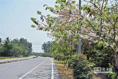 屏東道路寬度查詢